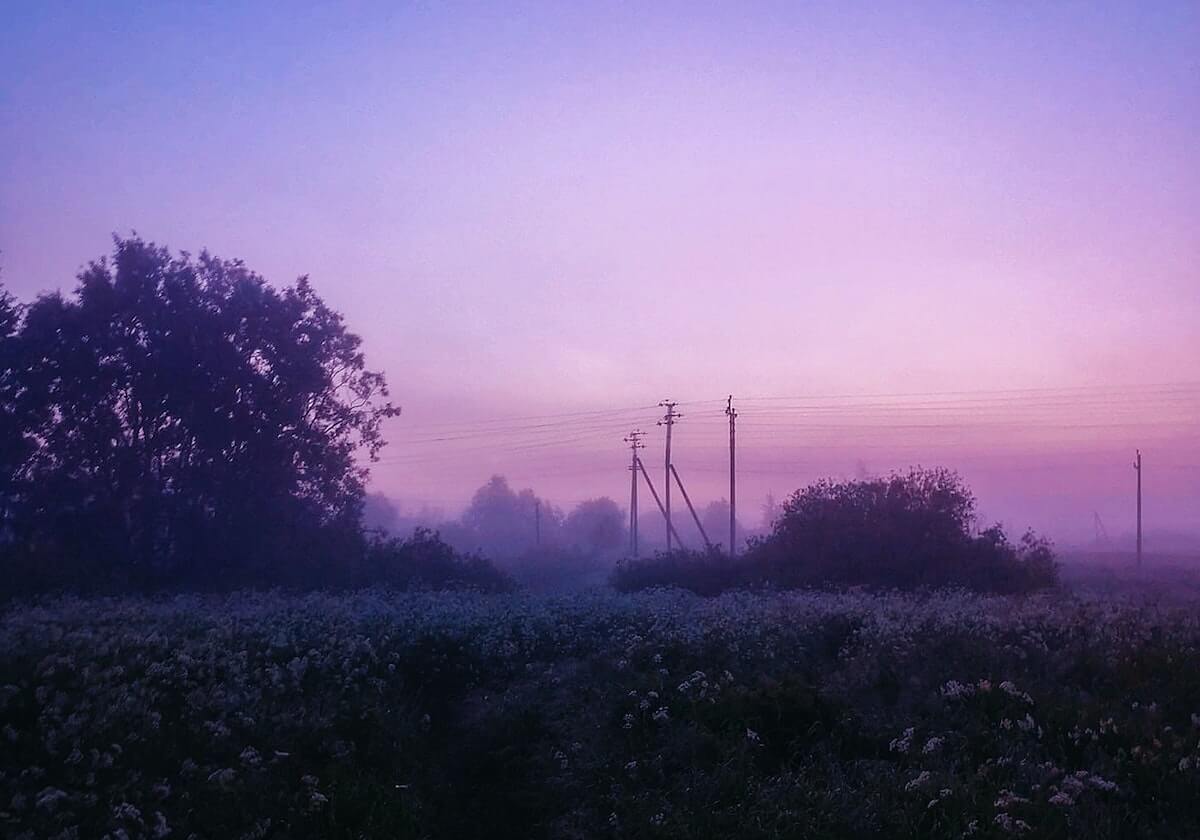 读推特时遇到节点放大？来个从正文回到标题，推特用哪里的节点