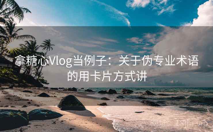 拿糖心Vlog当例子：关于伪专业术语的用卡片方式讲